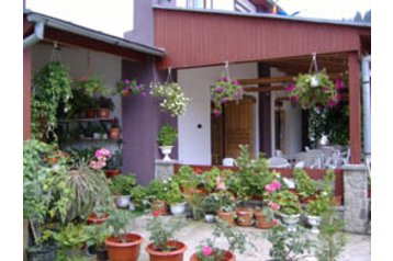 Rumanía Privát Putna, Exterior